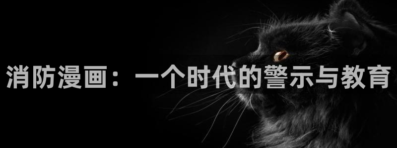 耽漫网之家最新章节更新