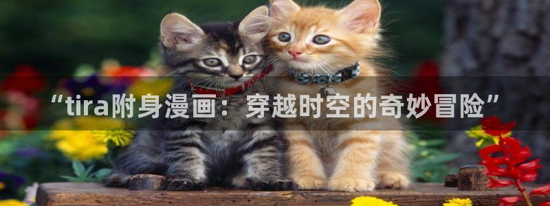 耽漫网值得收藏的书下拉式