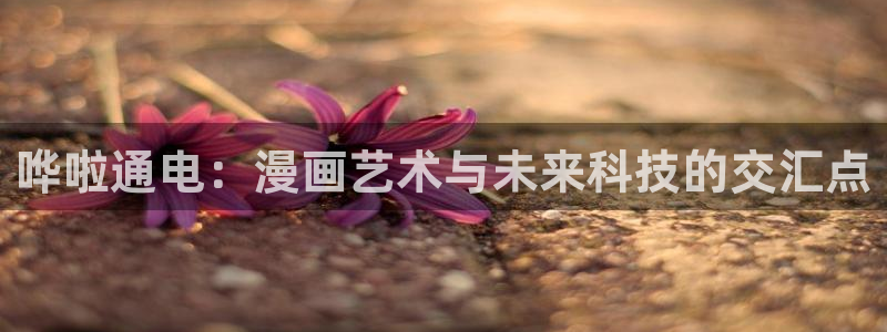 耽漫网之家动漫之家