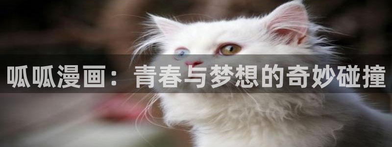 耽漫网免费阅读在线下载