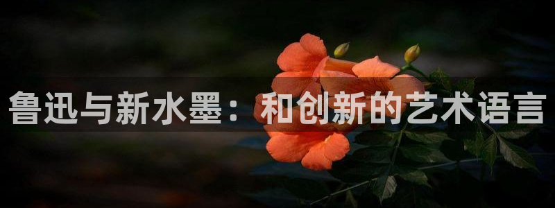 耽漫网免费阅读在线下载：鲁迅与新水墨：和创新的艺术语言